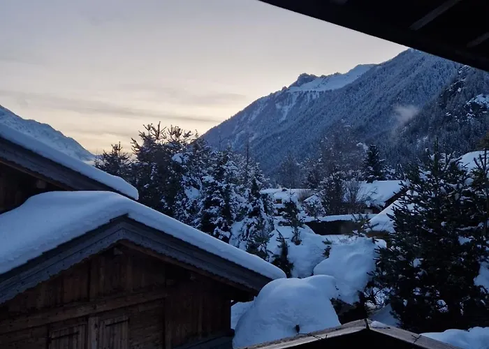 Ensoleillé Aux Tines, Vue Massif * Chamonix